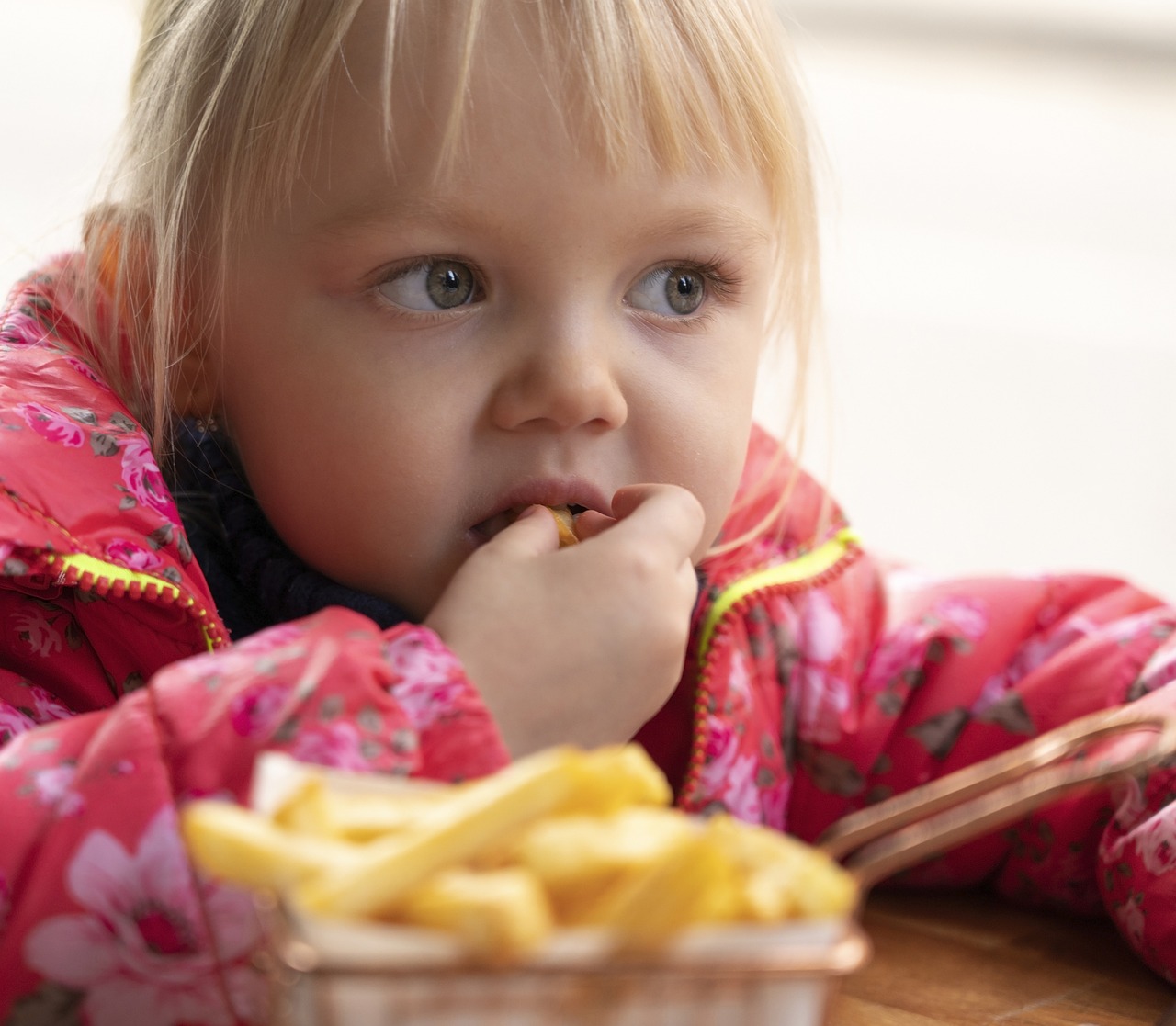 girl, kid, french fries-5988429.jpg